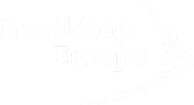 Rewilding Europe Logo